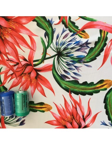 SZYFON DRUK CYFROWY OSTY